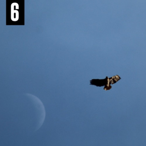 screen-shot-2016-06-15-at-7-33-27-pm